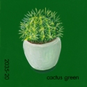 cactus green734