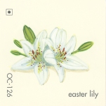 easter lily585