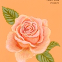 peach rose634