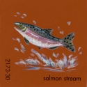salmon stream653