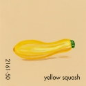 yellow squash707