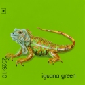 iguana green751