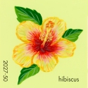 hibiscus824