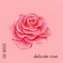 delicate rose932