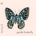 gentle butterfly775