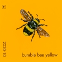 bumble bee yellow224