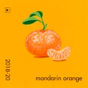 mandarin orange075